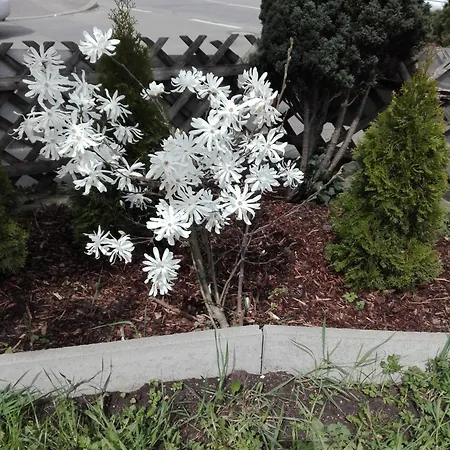 Apartment Gaestezimmer Fuchs Neuhausen auf den Fildern